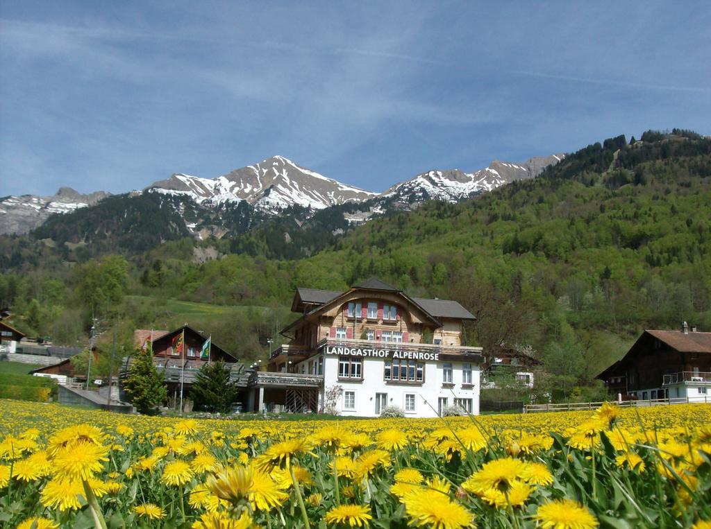 Hotel Alpenrose Beim Ballenberg Hofstetten bei Brienz Luaran gambar